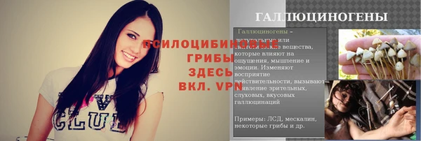 ПСИЛОЦИБИНОВЫЕ ГРИБЫ Дмитров