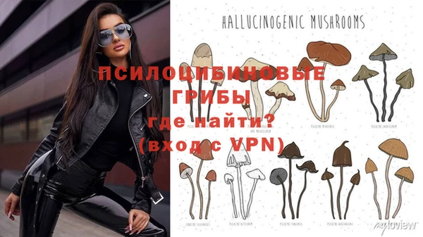 таблы Дмитриев